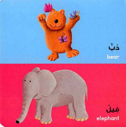 Arabic Words Board Book - الكلمات العربية