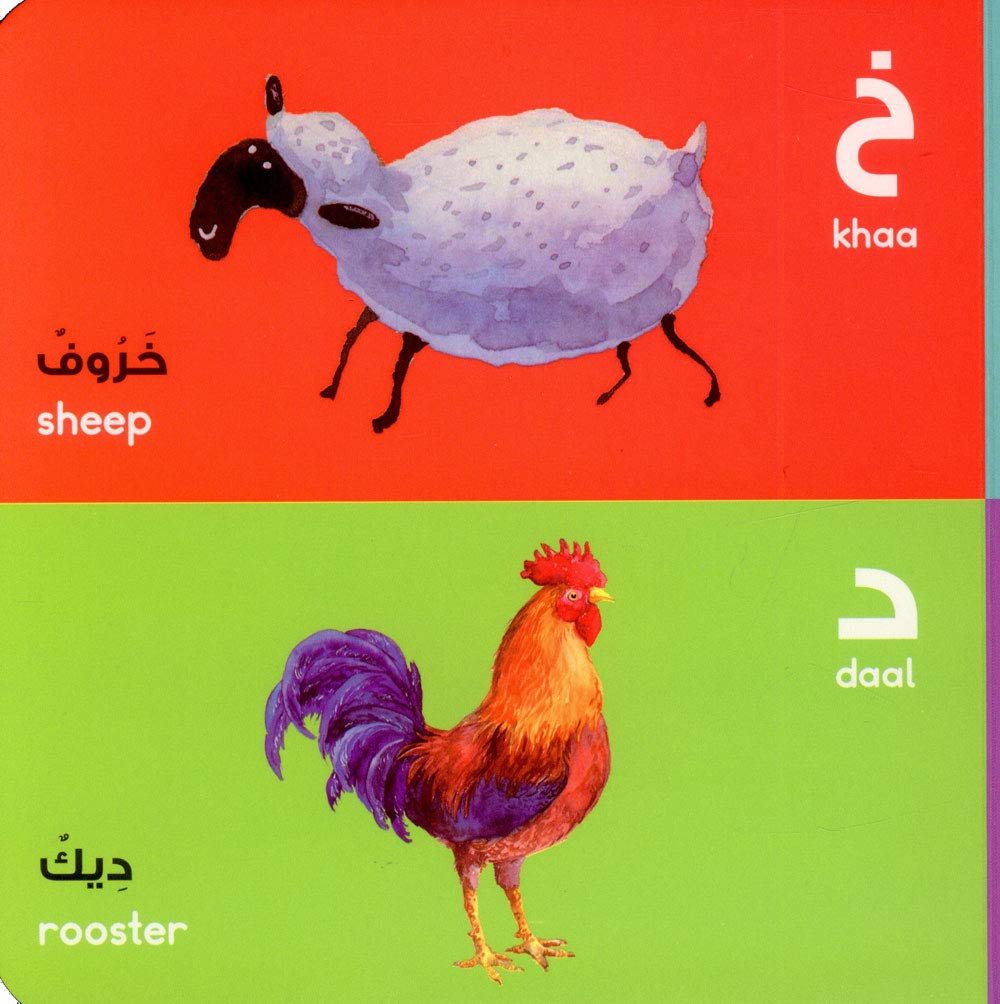 Arabic Alphabet Board Book - الحروف العربية