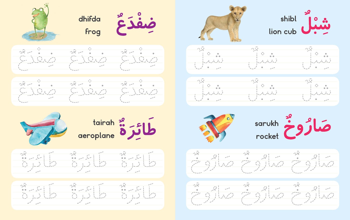 Let's Write Arabic Words Wipe-Clean Board Book