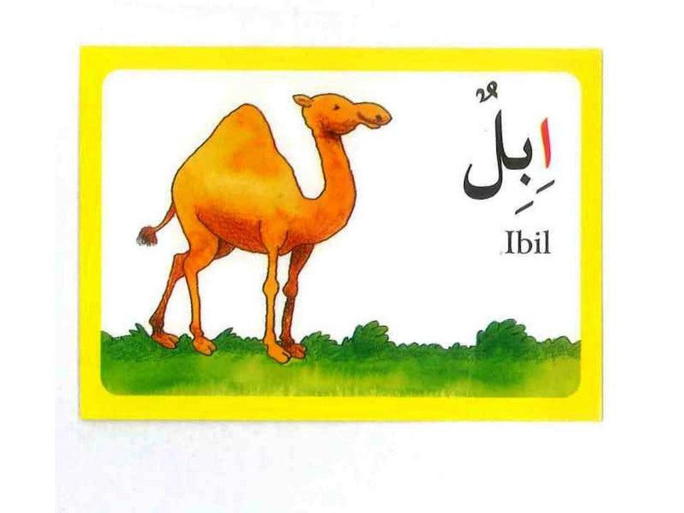 Arabic Alphabet Flash Cards